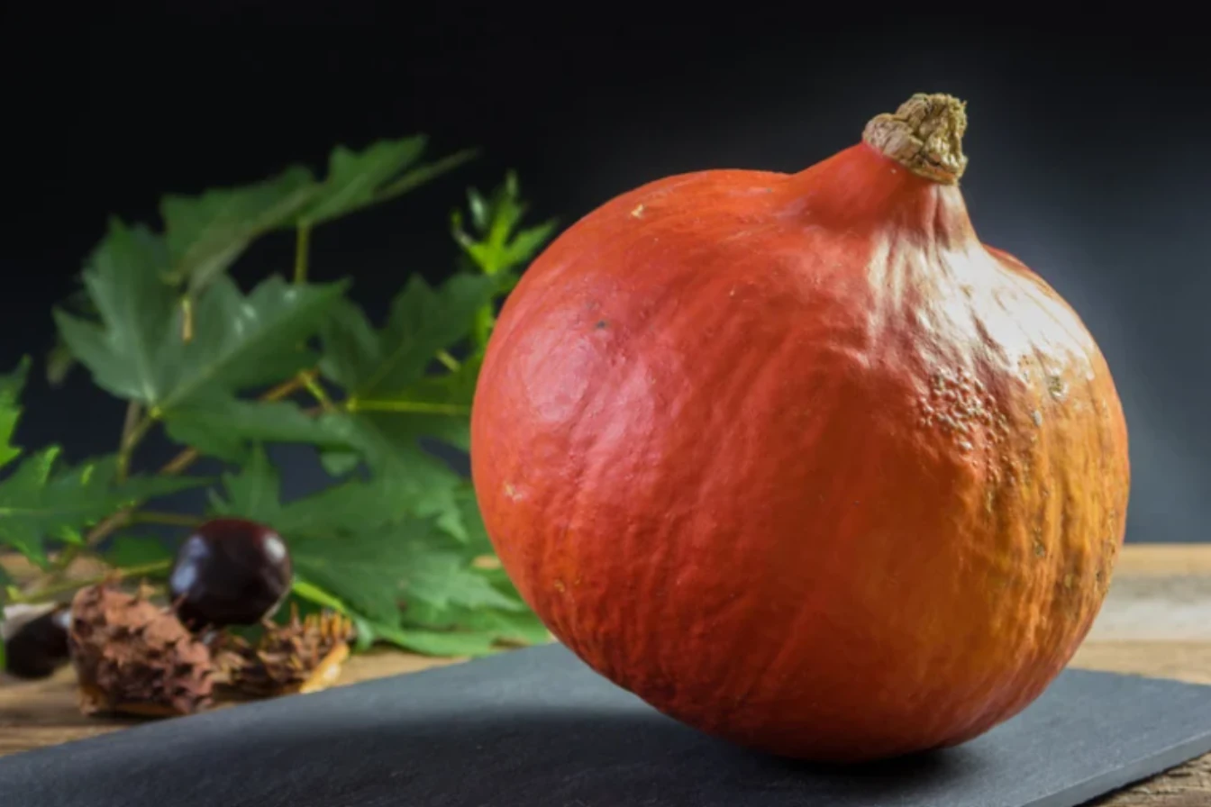 Zbliżenie na okrągłą dynię Hokkaido o intensywnie czerwono-pomarańczowej skórce na czarnym tle